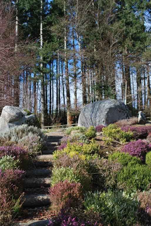 Trooperstown Lodge Laragh Zewnętrze zdjęcie